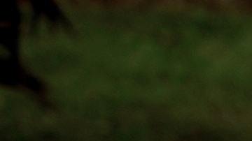 tomar un vaso de leche al día