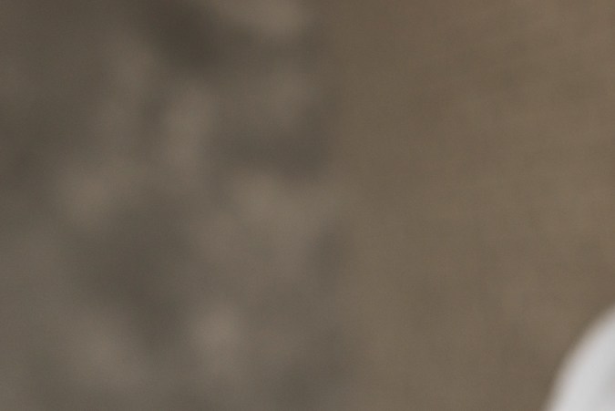 Día del Orgullo LGBTQ