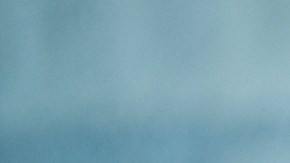 gripe aviar en China