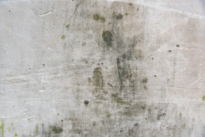 hongo negro ataca a infectados de covid