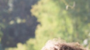 infidelidad en una relación