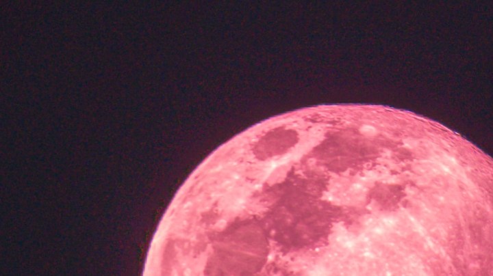 luna de fresa 2021
