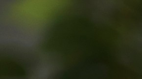 Mi hijo no quiere comer