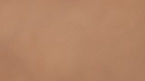 virus sincitial respiratorio