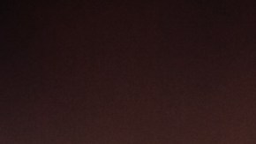 Mi gato maúlla mucho