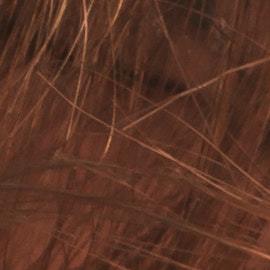 Protectores solares y cáncer