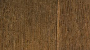 Día Nacional del Perro