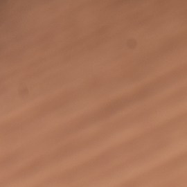 vinagre blanco contra los hongos