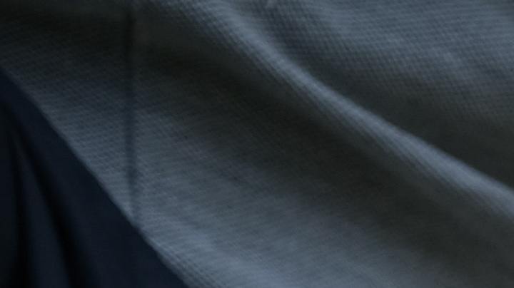 Vacuna canina, fiebre del valle, Estar Mejor