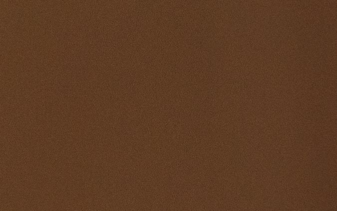 Día Nacional del Gato