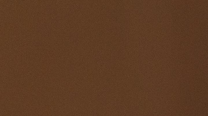 Día Nacional del Gato