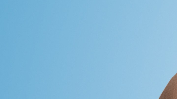 Cáncer de Mama, diseñan ratón , Estar Mejor