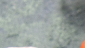 Día Mundial de la Alimentación