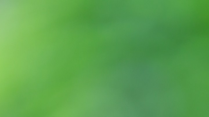 Día Mundial de la Salud Mental