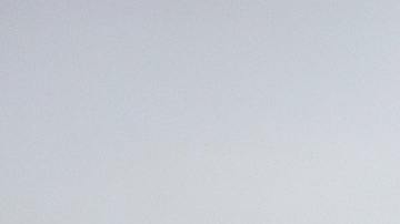 perros, gatos, diabetes, Estar Mejor