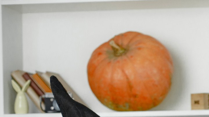 disfraces para halloween