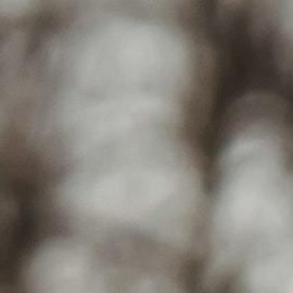 La frase de Edward Stanley: "aquellos que piensan que no tienen tiempo para el ejercicio, tarde o temprano tendrán tiempo para la enfermedad", recibió la mayor calificación como motivador para 669 entrevistados.