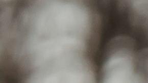 La frase de Edward Stanley: "aquellos que piensan que no tienen tiempo para el ejercicio, tarde o temprano tendrán tiempo para la enfermedad", recibió la mayor calificación como motivador para 669 entrevistados.