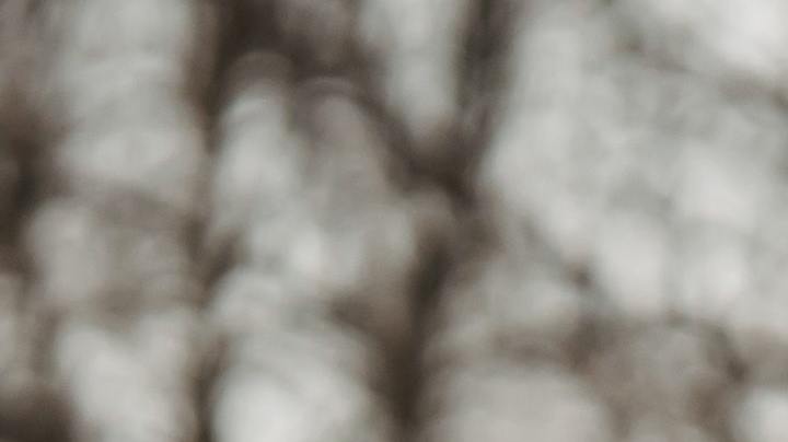 La frase de Edward Stanley: "aquellos que piensan que no tienen tiempo para el ejercicio, tarde o temprano tendrán tiempo para la enfermedad", recibió la mayor calificación como motivador para 669 entrevistados.