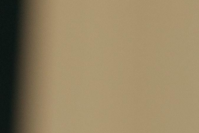 Día Nacional del Gato