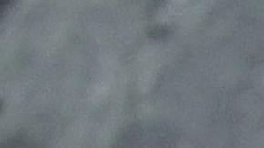 Cómo limpiar tu casa con laurel