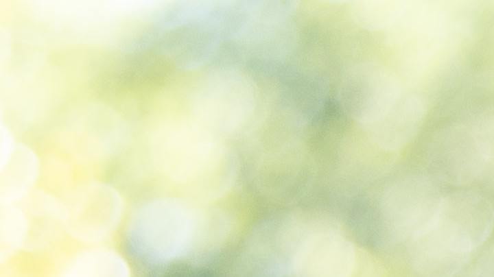 Día Mundial de los Animales