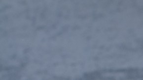 Las semillas de girasol pueden convertirse en atesorables amigas si estás en la búsqueda de bajar de peso.