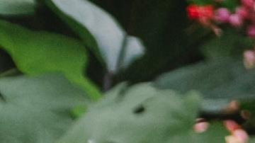 psiquiatra , enfrentar el estrés, fiestas navideñas, Estar Mejor