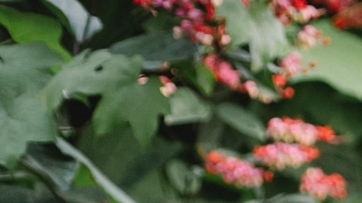 psiquiatra , enfrentar el estrés, fiestas navideñas, Estar Mejor