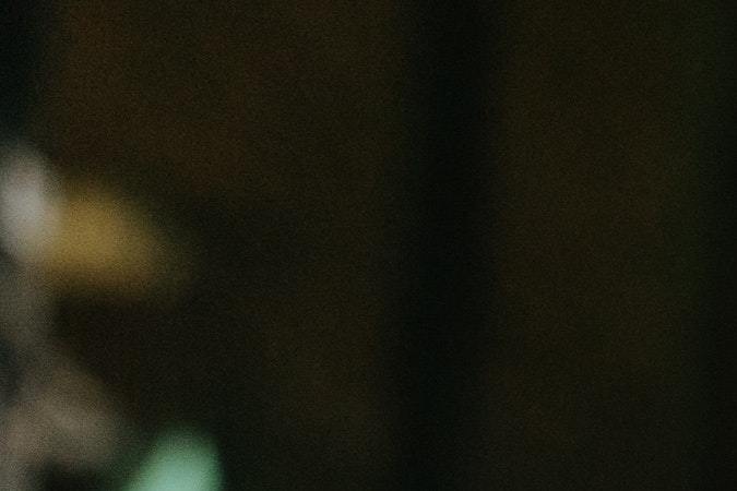 nueva cepa, grive aviar, H5N6, Estar Mejor