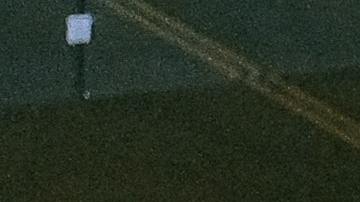 COVID durante thanksgiving, Estar Mejor