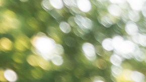 Día Internacional del Niño