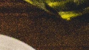 Dieta Mediterránea, Estar Mejor