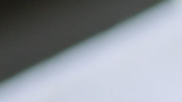 Canela, prevención del alzheimer, Estar Mejor