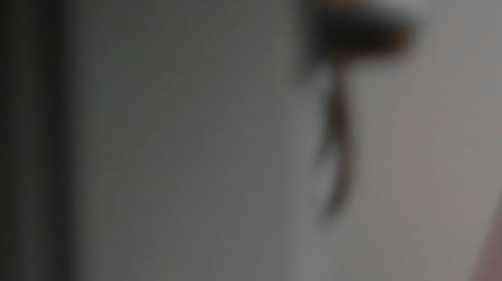 Zinc, resfriado, Estar Mejor