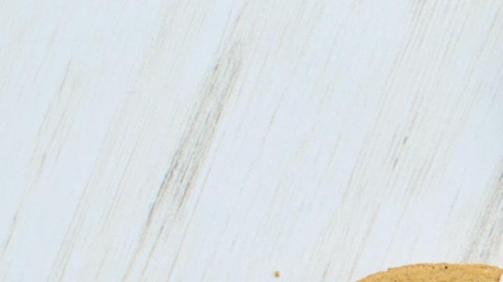 Galletas de jengibre, sin azúcar, diabéticos, Estar Mejor