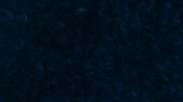 Inteligencia Artificial , cáncer de colon, Estar Mejor