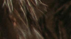 Dulces, halloween, proteger dientes, Estar Mejor