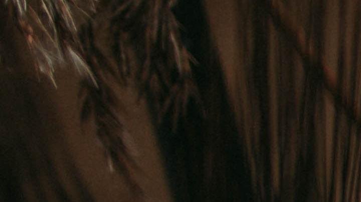 Dulces, halloween, proteger dientes, Estar Mejor