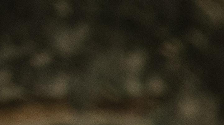 Thanksgiving 2021, frases para dedicar, Estar Mejor