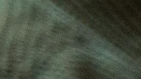 Thanksgiving plant based, día de acción de gracias sin pavo, menú a base de plantas, Estar Mejor