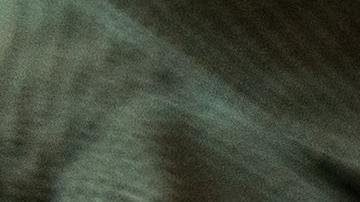 Thanksgiving plant based, día de acción de gracias sin pavo, menú a base de plantas, Estar Mejor