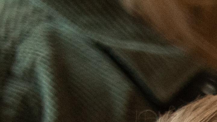 Thanksgiving plant based, día de acción de gracias sin pavo, menú a base de plantas, Estar Mejor