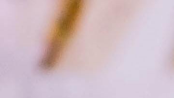 aceite de palma, ácido, metástasis, Estar Mejor