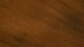 El análisis del tejido placentario indicó que la secuenciación de ARN por el consumo materno de cannabis se asoció con una menor expresión de genes activadores inmunitarios, incluidas las citocinas, que participan en la protección contra patógenos.