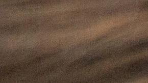 tener un perro , beneficios, Estar Mejor