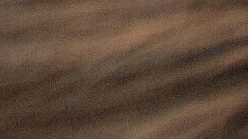 tener un perro , beneficios, Estar Mejor