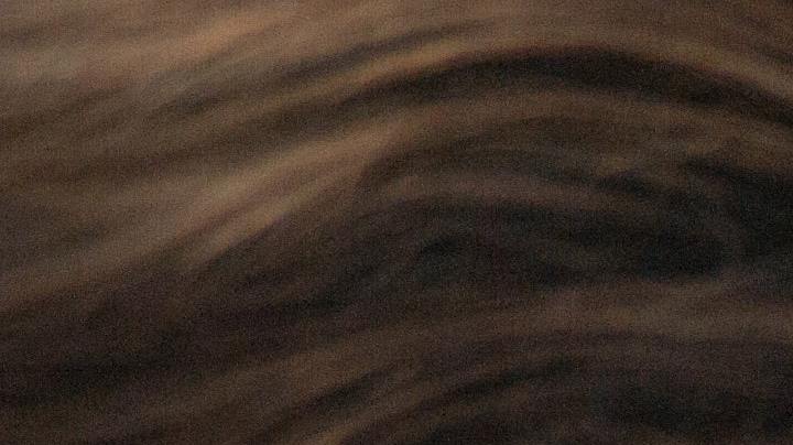 tener un perro , beneficios, Estar Mejor