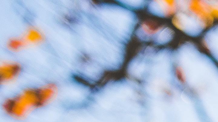 COVID, vacuna, abortos espontáneos, Estar Mejor