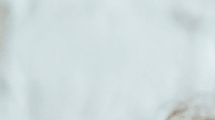 Detesto a mi hijo, qué hacer, Estar Mejor